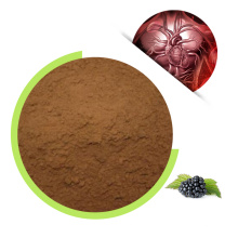 Click Nice Fruit Juice Powder Blackberry Juice Powder, Blackberry Powder